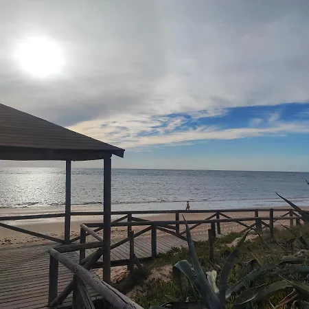 Precioso Bajo Muy Grande A 200 Metros De Playa Apartment